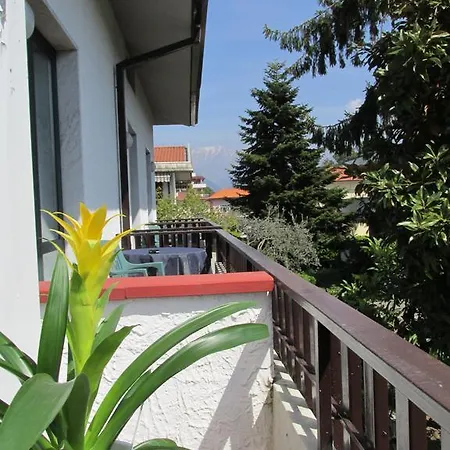 Roby 3* Marina di Massa